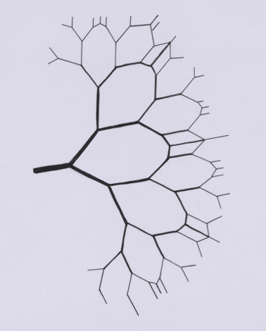 Tree branch pattern